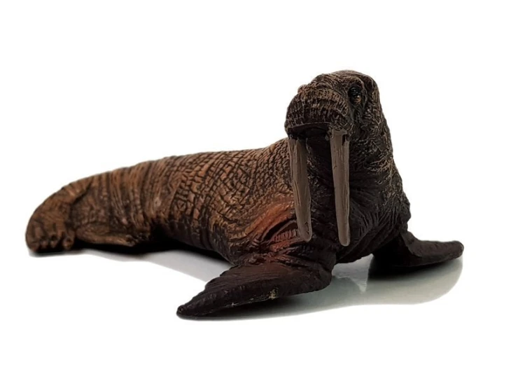 49cef0fb1ebfd7f8ff79c91cfc2b72cf