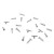 155c4ce4ae11fb1f90cc74c93889c0a2
