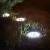 d803fc4cd4ac379631b56ca158c01c38