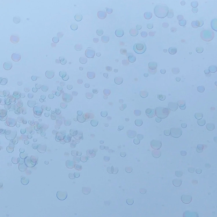 24093911daed41a7efda6e4beeae657f