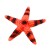 ec3f03fef67cd1d668e111c092cd9a5a